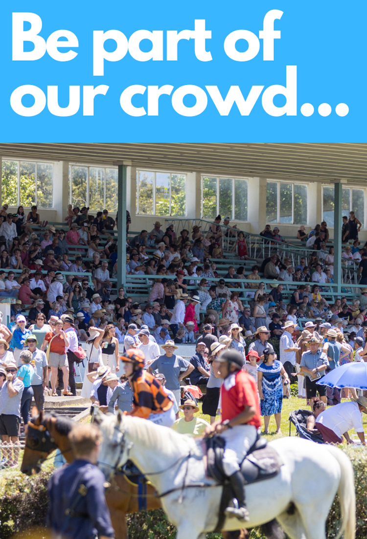 March 3rd 2024 Raceday at Tauherenikau